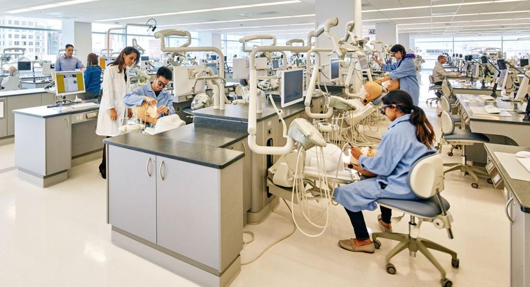 students working in a dental lab